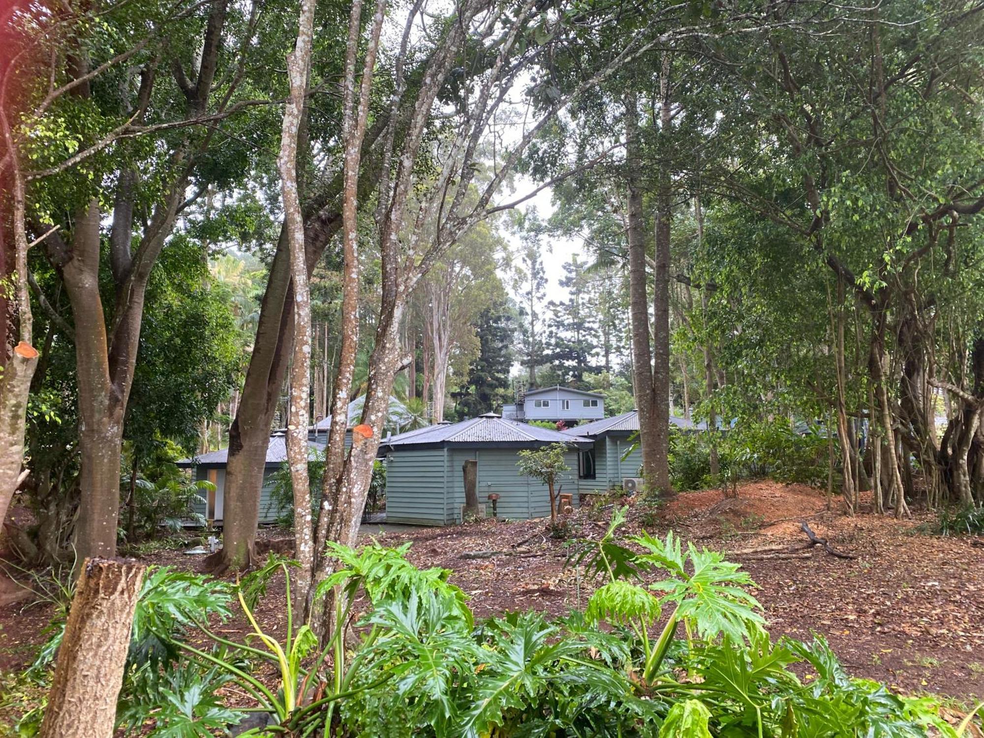Koala Cabins Sunshine Coast Мейпълтън Екстериор снимка